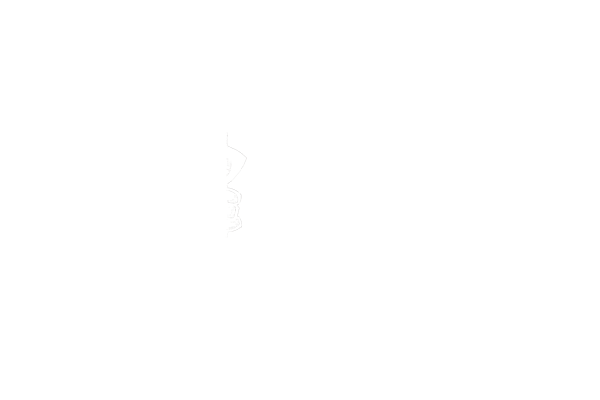 Paul Friemel RIPT Apparel reaper logo branding trademark chief creative officer illustration